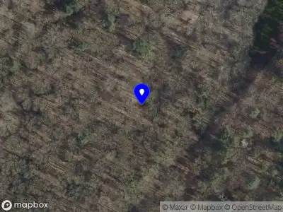 Brandweer met grote spoed naar de Meerwijkselaan in Heilig Landstichting