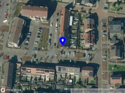 Overlastmelding Bies in Elst