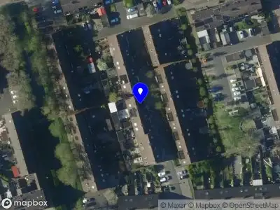 Overlastmelding Paardebloem in Zwaag