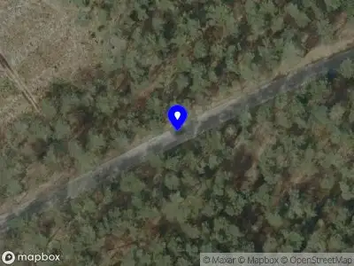 Brandweer met grote spoed naar de Witrijt in Bergeijk