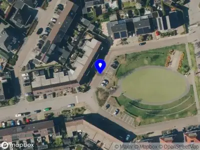 Brandweer met gepaste spoed naar de Het Bosje in Elst