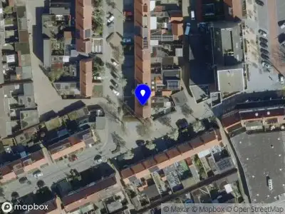 Overlastmelding Meester C. Goselingstraat in Best