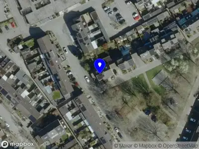 Overlastmelding Populier in Best