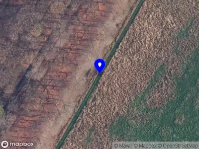 Brandweer met gepaste spoed naar de Brink in Norg