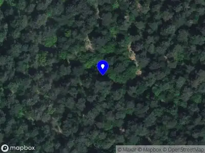 Brandweer met grote spoed naar de Reeoordweg in Vorden