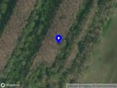 Politie naar de Waalseweg in Tull en 't Waal vanwege aanrijding met letsel