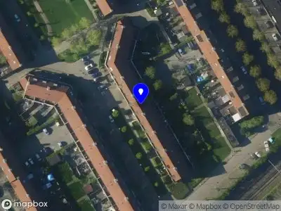 Overlastmelding Ekster in Hoorn