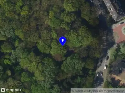 Ambulance met gepaste spoed naar de Dotterbloemlaan in 's-Gravenhage