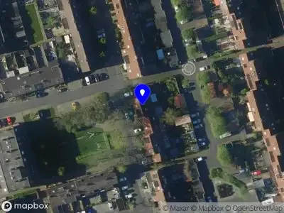 Overlastmelding Pinksterbloem in Zwaag