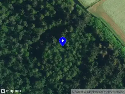 Politie naar de Woolsdijk in Wesepe vanwege aanrijding met letsel