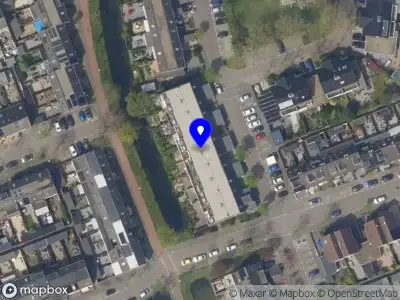 112 melding Overlastmelding Lupine in Rijnsburg