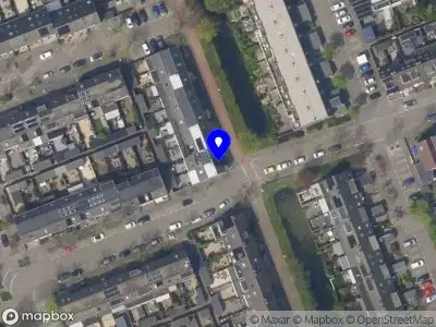 Overlastmelding Paardebloem in Rijnsburg