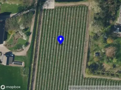 Politie naar de Oude Broekdijk in Kesteren vanwege aanrijding met letsel