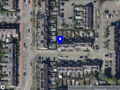 Ambulance met grote spoed naar de Van den Boetzelaervliet in Barendrecht