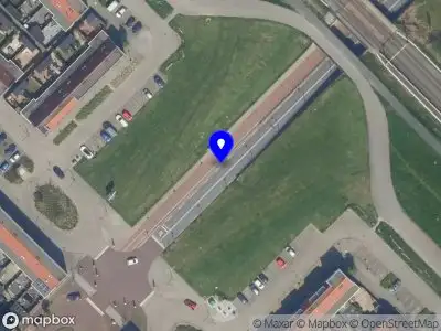 112 melding Overlastmelding Bruinvisch in Maassluis (South Holland)