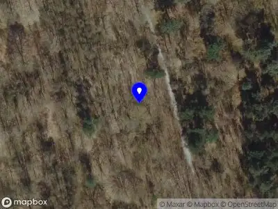 Brandweer met gepaste spoed naar de Rijksweg in Bergen (L.)