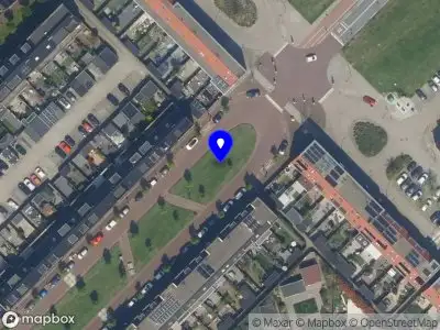 Overlastmelding Bruinvisch in Maassluis