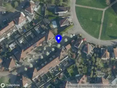 Overlastmelding Lijster in Rijswijk