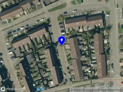 Overlastmelding Boterbloem in Duiven