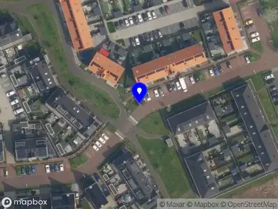 Ambulance met grote spoed naar de Vuurjufferzoom in Pijnacker