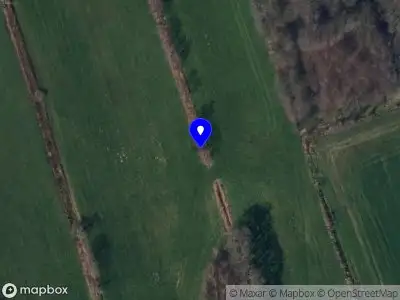 Brandweer met grote spoed naar de Peebos in Doezum vanwege voertuigbrand