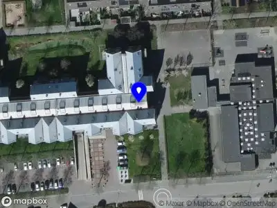 Overlastmelding Sperwer in Sommelsdijk