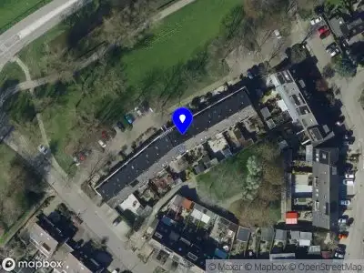 Overlastmelding Fazant in Oud-Beijerland gesloten