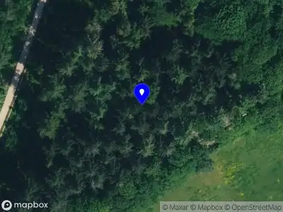 Brandweer met gepaste spoed naar de Verwoldseweg in Laren vanwege stormschade