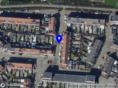 Ambulance met gepaste spoed naar de Leeuw in Hellevoetsluis