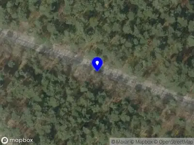 Brandweer met grote spoed naar de Witrijtseweg in Bergeijk vanwege reanimatie