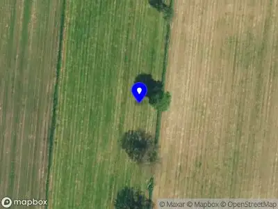 112 melding Brandweer met gepaste spoed naar de Winterkamperweg in Markelo vanwege stormschade