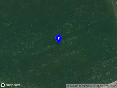 Brandweer met gepaste spoed naar de Duifpolder in Maasland