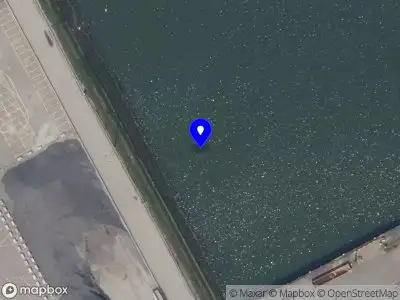 Ambulance met grote spoed naar de Zaltbommelstraat in Rotterdam