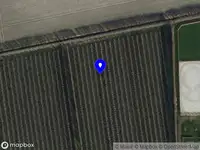 Politie met grote spoed naar de Papotweg in Ellewoutsdijk vanwege letsel