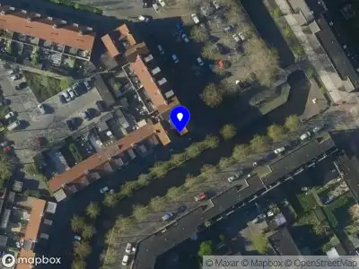 Overlastmelding Ekster in Hoorn gesloten