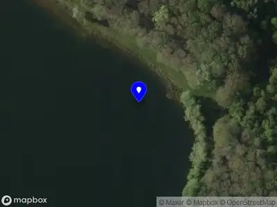 Politie naar de Roggelsedijk in Neer vanwege aanrijding met letsel