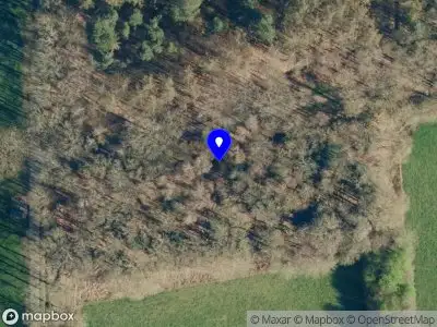 Politie naar de Hogestraat in Hall vanwege aanrijding met letsel