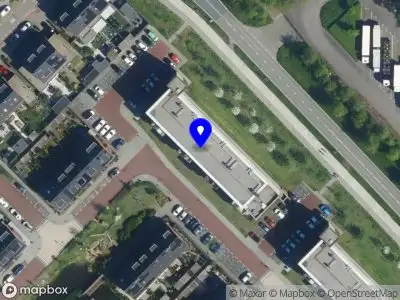 Overlastmelding Buxushaag in Voorhout