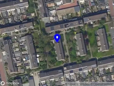 Overlastmelding Vogelkerspad in Rijnsburg