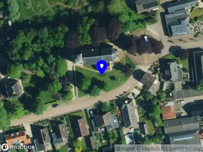 Brandweer met gepaste spoed naar de Dorpsplein in Nijbroek vanwege stormschade