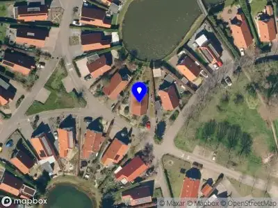 Overlastmelding IJsvogel in Lathum