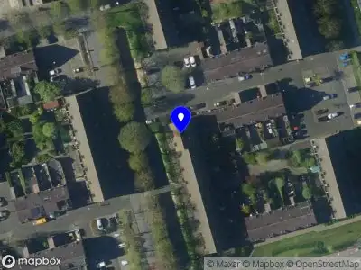 112 melding Overlastmelding Brandnetel in Zwaag