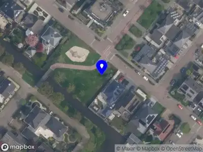 Ambulance met gepaste spoed naar de Steenbreekvaren in Bergschenhoek