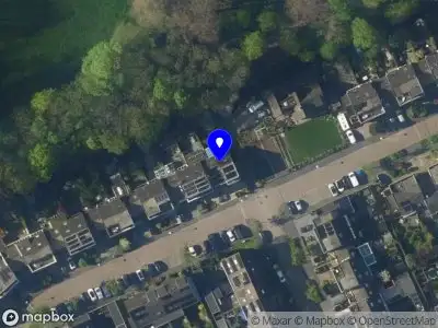 Overlastmelding IJsvogel in Maarssen