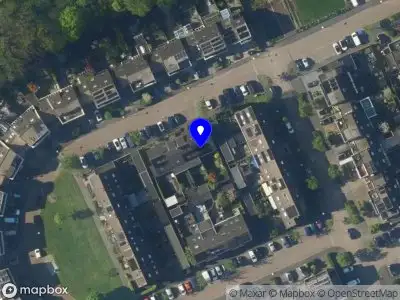 Overlastmelding IJsvogel in Maarssen