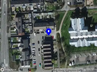 Overlastmelding Specht in Sommelsdijk gesloten