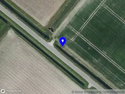 Politie naar de Dwarsweg in Zuidland vanwege dier(en) in nood