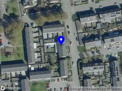 112 melding Overlastmelding Delphinus in Loon op Zand