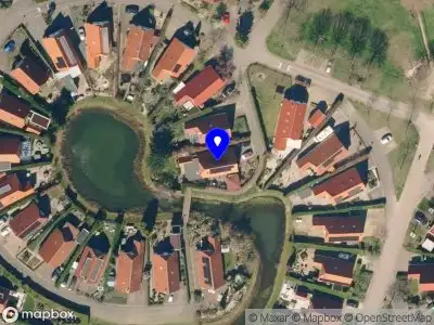 Overlastmelding IJsvogel in Lathum