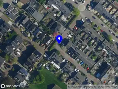 Overlastmelding Esdoorn in Noordwijkerhout gesloten